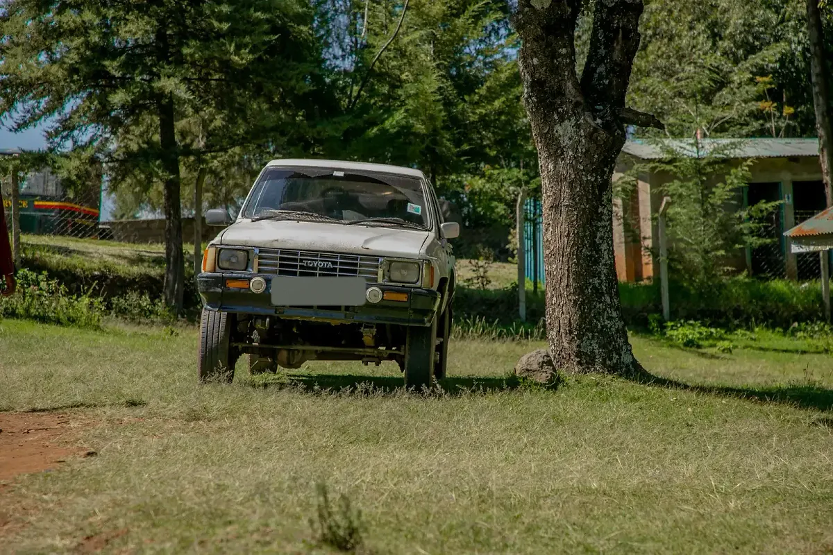 Pick-up Toyota garé sous les arbres